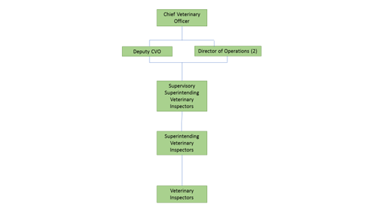 AHD-Vet-Reporting-Structure-(2).png