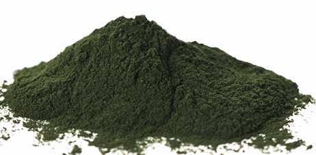 Chlorella