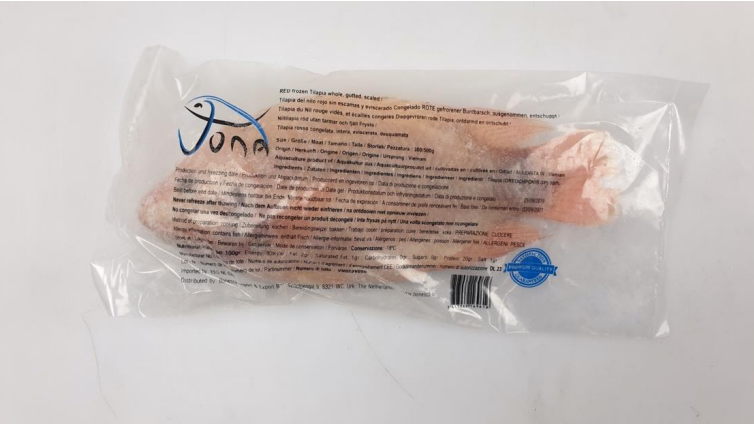 Frozen Jona Red Tilapia Fish
