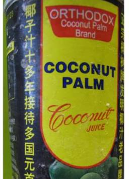Coconut Palm