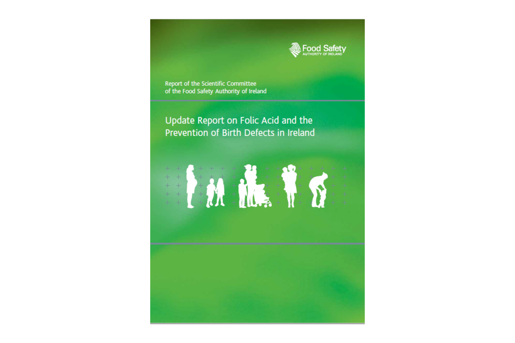 Report cover